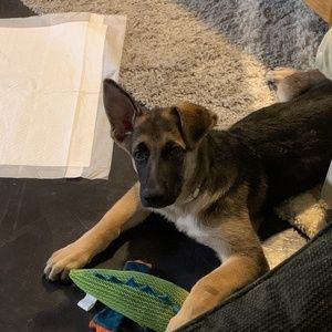 Meet your Posher, Eileen